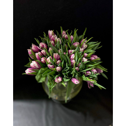 Тюльпаны пионовидные 35 шт