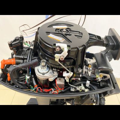 Лодочный мотор ALLFA CG T9.9BWS MAX