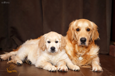 С мамой Марго малыш Юран, 2 мес.