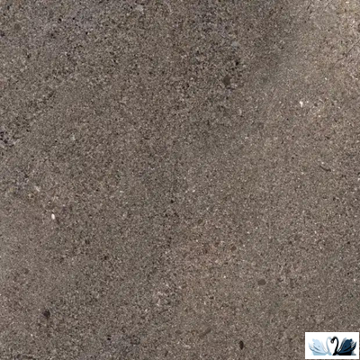 Керамогранит Prime Ceramics Terra Graphite 60х60 см