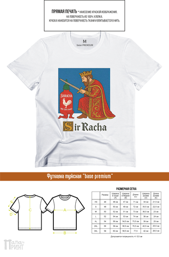 Футболка база премиум мужская "Sir Racha"