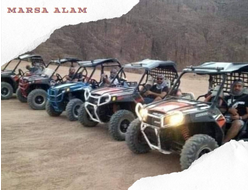 BUGGY SAFARI IN THE MORNING (2 hours program)