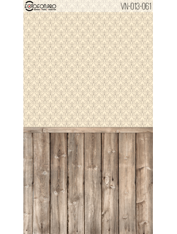 Фотофон «Такераль»