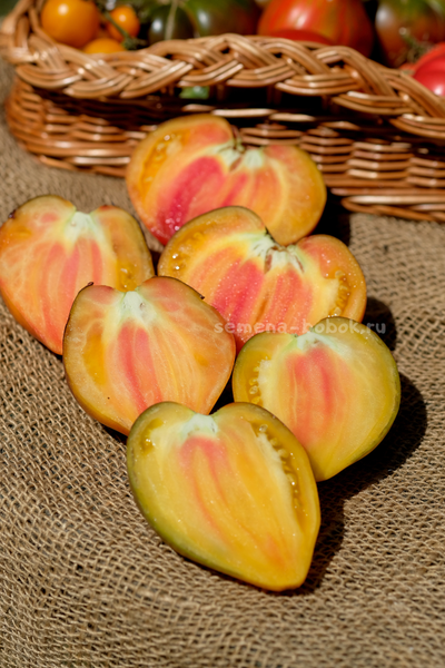 Томат Ананасный Сержант, 10 шт