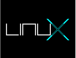 Установка LINUX вместо Windows