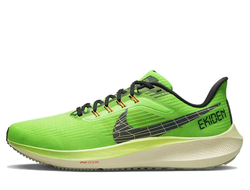 Кроссовки Nike Air Zoom Pegasus 39 Ekiden Zoom Pack DZ4776-343
