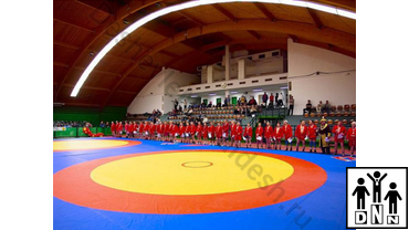 борцовский ковер