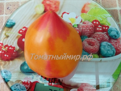 Томат Полуночное солнце (Midnight Sun)