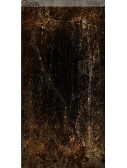 Фотофон на холсте «Краус»