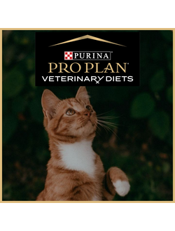 Ветеринарные сухие корма Проплан для кошек