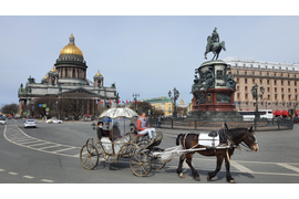 Индивидуальные экскурсии по Петербургу и пригородам