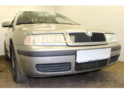Защита радиатора Skoda Oktavia 2000-2011 black