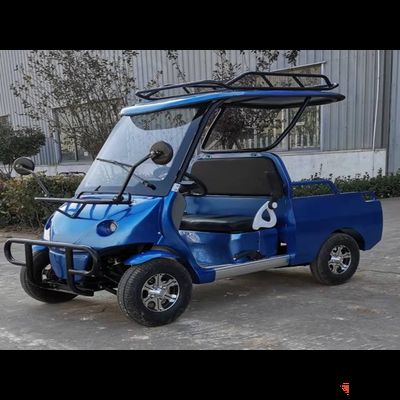 Гольфкар GreenCamel A2P 52 Ah 12V Синий