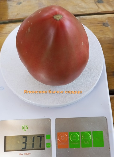 Томат Японское бычье сердце (Japanese Oxheart)