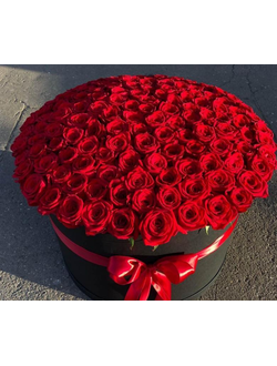 101 красная крупная роза в шляпную коробку