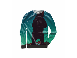 Свитшот 3D The Long Dark, Лонг Дарк №2