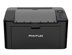 Pantum P2516