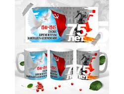 Кружка на 9 Мая, День Победы Спасибо за молодость!