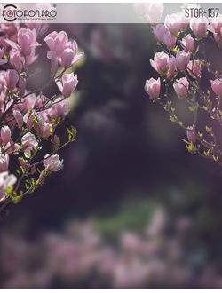 Фотофон на холсте «Настроение лета»