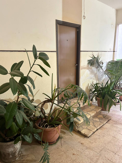 3-х комнатная квартира в Неве Шаанан Хайфа с большим закрытым балконом