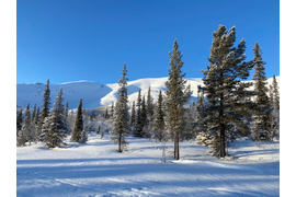 Зима | Маршрут Двухдневный «ХИБИНСКИЙ ЛАЙТ»