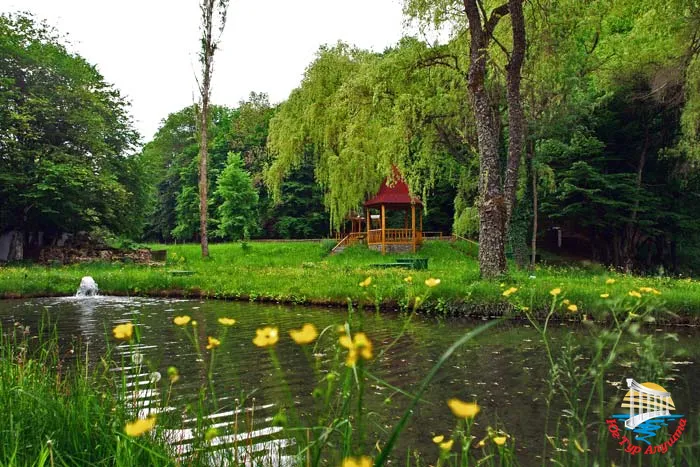 Форелевое хозяйство