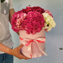 Коробка из 9 гортензий