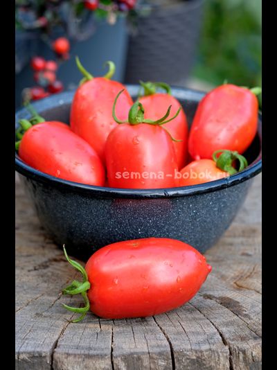 Томат Incas (Инки), 10 шт