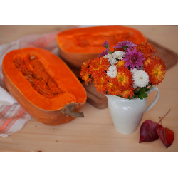 Уценка! D0304 В оранжевых тонах