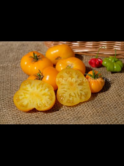 Томат Dwarf Rumpelstiltskin (Гном Румпельштильскин), 10 шт