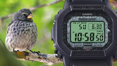 Часы Casio G-Shock GW-B5600CD-1A3