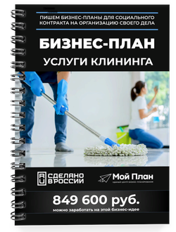 бизнес план клининг самозанятый