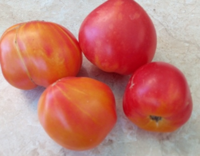 Томат Сердце абрикосовой зебры  (Coeur de Zebre apricot, Heart of Zebre Apricot)