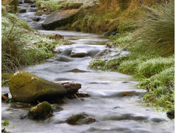 Купить греющую картину с фото весенний ручей