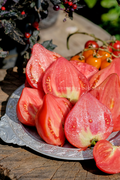 Томат Кызыл Тау, 10 шт