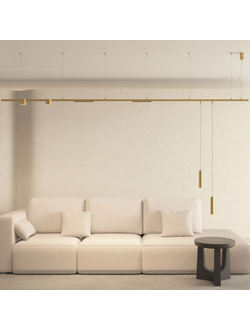 Светильник для трека SHINE SPOT DK5743-SB