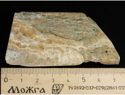 Арагонит, почковидные агрегаты, полировка, Россия, КЧР, Урупский район (75*43*12 мм, 57 г) №37753