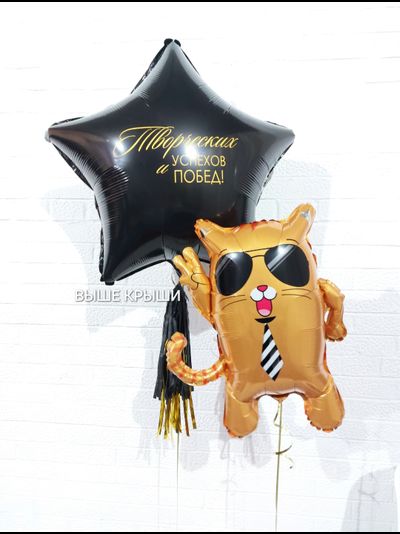 Сет воздушных шаров для него &quot;Успехов&quot;