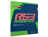 Andro Rasanter R53