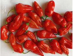 Перец острый  Naga Smooky Rainbow