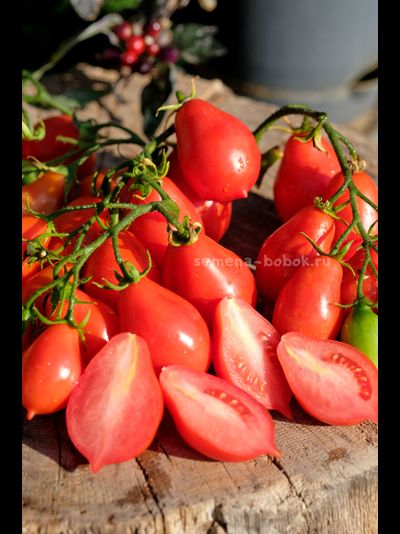 Томат Матрешка, 10 шт