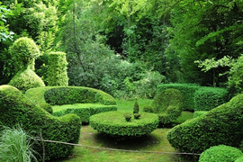 Топиарная стрижка растений