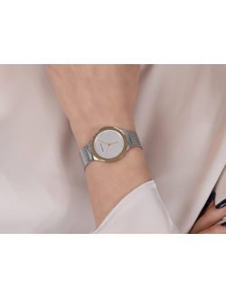 Наручные часы Bering 12934-010