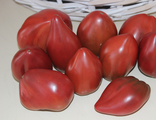 Темноплодные сорта томатов