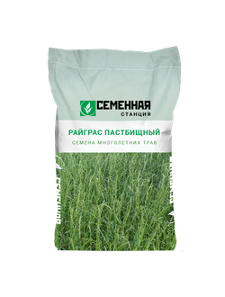 Семена фацелии, 10кг