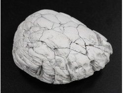 Кахолонг (Опал), желвак цельный, Оренбургская обл. (50*37*22 мм, 43 г) №29442