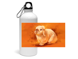 Спортивная бутылка год Кролика №14