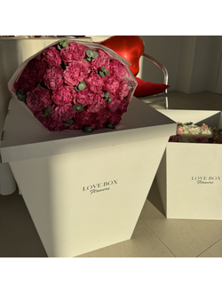 Транспортировочный бокс