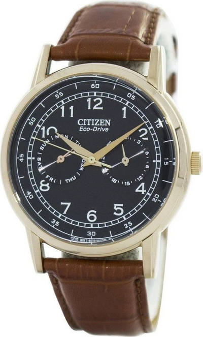 Наручные часы Citizen AO9003-08E