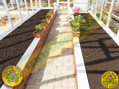 Грядки в теплице из стекла и алюминия перед высадкой рассады